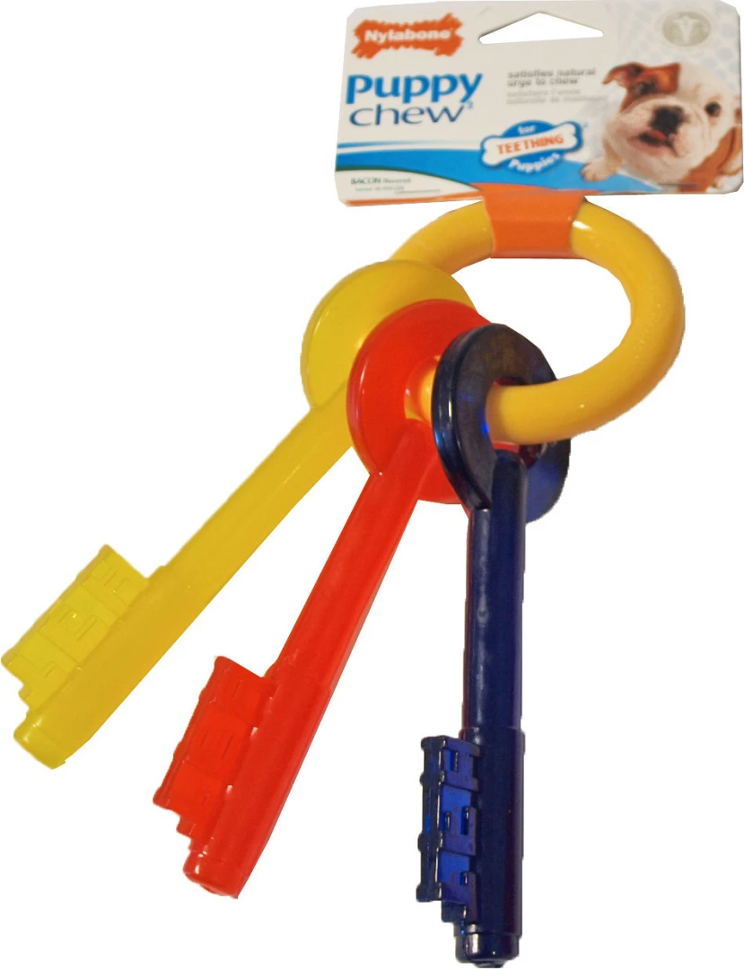 NylaBone Puppy Chew Teething Key S 3 NylaBone Puppy Chew Teething Key S