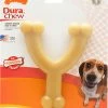 NylaBone Dura Chew Wishbone -Hond winkel 0018214999065