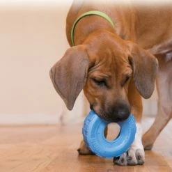 Kong Puppy Tires Assorti -Hond winkel 0035585356051 48 met hond