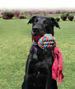 Kong Wubba Weaves Assorti -Hond winkel 0035585800899 75 89 met hond