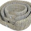 Boony Est. 1941 Rotan Basket Highback -Hond winkel 0212732 33 34