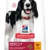 Hill's Science Plan Adult Medium Kip 12 Kg 2 Hill's Science Plan Adult Medium Kip 12 Kg -Hond winkel 052742025742 2