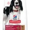 Hill's Science Plan Adult Medium Lam & Rijst 12 Kg -Hond winkel 052742025865 2