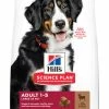 Hill's Science Plan Adult Large Breed Lam & Rijst 12 Kg -Hond winkel 052742025889 2