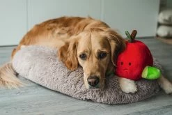 Beeztees Hondenspeelgoed Hide And Seek Appel -Hond winkel 0619440 sfeer1