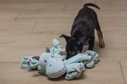 Beeztees Puppy Knuffeldoek Draak M -Hond winkel 0619493 sfeer3