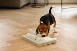 Beeztees Puppy Trainingsspel Riff Groen -Hond winkel 0619900 sfeer3