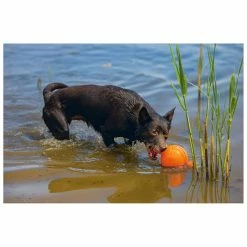 Beeztees Apportino Bal -Hond winkel 0625880 3