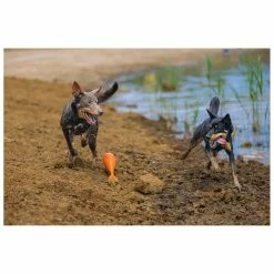 Beeztees Apportino Boei -Hond winkel 0625882 2