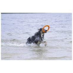 Beeztees Apportino Ring -Hond winkel 0625883 2