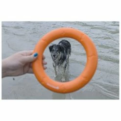 Beeztees Apportino Ring -Hond winkel 0625883 3