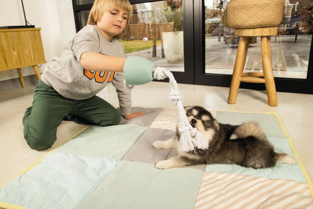 Beeztees Puppy Flostouw Pullina Groen 6 Beeztees Puppy Flostouw Pullina Groen - Afbeelding 4