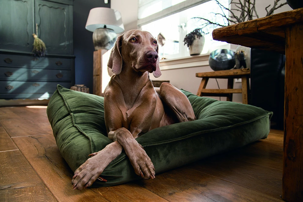 Designed By Lotte Ligkussen Nalino Groen 4 Designed By Lotte Ligkussen Nalino Groen - Afbeelding 2