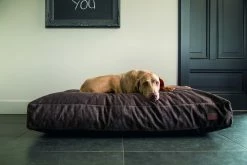 Designed By Lotte Hondenkussen Unnay Bruin -Hond winkel 0716074 sfeer2