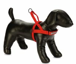 Beeztees Premium Borsttuig Parinca Rood