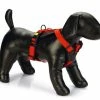 Beeztees Premium Y-Tuig Parinca Rood -Hond winkel 0747240