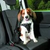 TRIXIE Autotuig Dog Comfort 2 TRIXIE Autotuig Dog Comfort -Hond winkel 12855 H
