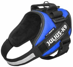 Julius K9 IDC Powerharness Blue 16 Julius K9 IDC Powerharness Blue -Hond winkel 16IDC B 1