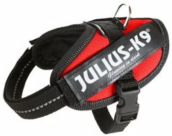 Julius K9 IDC Powerharness Red -Hond winkel 16IDC R B2