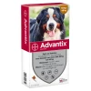 Advantix 600 6 Pipetten -Hond winkel 2002 NL806 AH Advantix 600 6 160x160pxl
