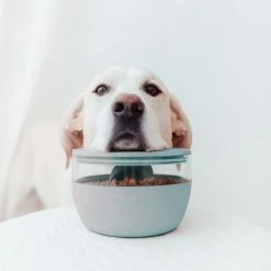 District 70 Treat Jar Ice Blue -Hond winkel 2J8A7537 1