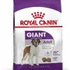 Royal Canin Hondenvoer Giant Adult 4 Kg -Hond winkel 3182550703147