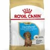 Royal Canin Hondenvoer Dachshund Puppy 1,5 Kg -Hond winkel 3182550722575