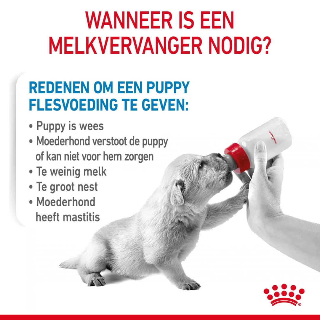 Royal Canin Hondenvoer Babydog Milk 2 Kg 4 Royal Canin Hondenvoer Babydog Milk 2 Kg - Afbeelding 2