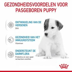 Royal Canin Hondenvoer Babydog Milk 2 Kg 9 Royal Canin Hondenvoer Babydog Milk 2 Kg -Hond winkel 3182550768658 3 1