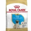 Royal Canin Hondenvoer Pug Puppy 1,5 Kg -Hond winkel 3182550813082