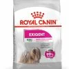 Royal Canin Hondenvoer Exigent Mini 3 Kg -Hond winkel 3182550894050