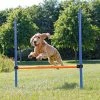 TRIXIE Dog Activity Agility Horde 2 TRIXIE Dog Activity Agility Horde -Hond winkel 3207 1