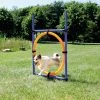 TRIXIE Dog Activity Agility Ring -Hond winkel 3208 H 2