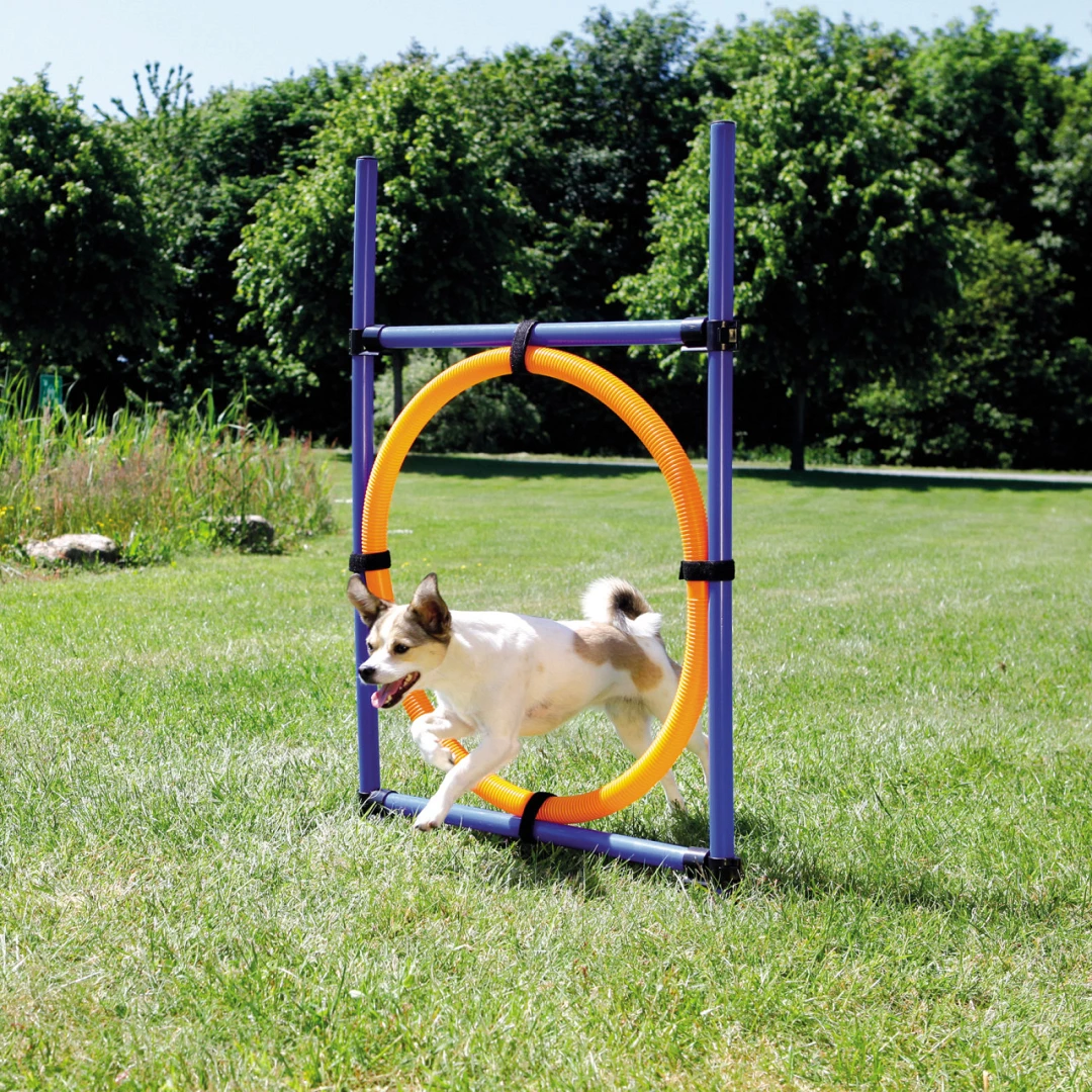 TRIXIE Dog Activity Agility Ring 3 TRIXIE Dog Activity Agility Ring