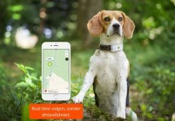 Weenect Dogs 2 GPS Tracker -Hond winkel 37700003000174