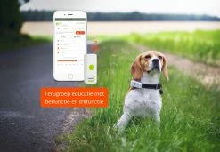 Weenect Dogs 2 GPS Tracker -Hond winkel 37700003000175