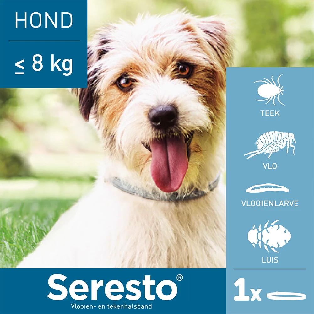 Seresto Band Voor Kleine Honden 5 Seresto Band Voor Kleine Honden - Afbeelding 3