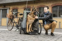 Croozer Hondenfietskar Dog Bruuno XXL + Gratis Kussen -Hond winkel 4044494144969 1