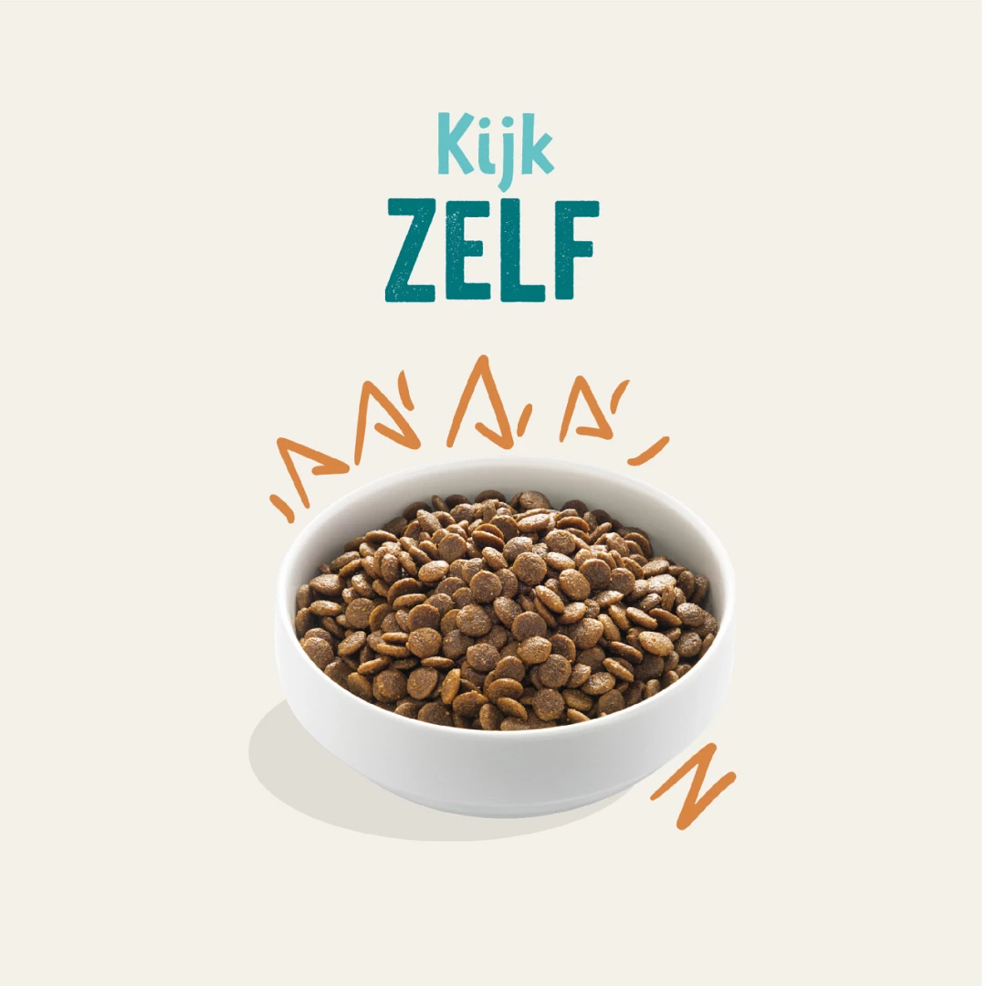 Edgard & Cooper Hondenvoer Adult Kip 7 Kg 6 Edgard & Cooper Hondenvoer Adult Kip 7 Kg - Afbeelding 4