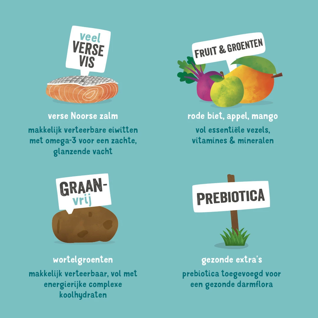 Edgard & Cooper Hondenvoer Adult Noorse Zalm 2,5 Kg 5 Edgard & Cooper Hondenvoer Adult Noorse Zalm 2,5 Kg - Afbeelding 3