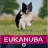 Eukanuba Hondenvoer Senior Small Medium Lamb & Rice 12 Kg