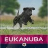 Eukanuba Hondenvoer Developing Junior Large Breed 12 Kg -Hond winkel 8710255146034