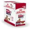 Royal Canin Hondenvoer Medium Ageing 10+ 10 X 140 Gr -Hond winkel 9003579008409