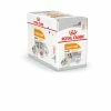 Royal Canin Hondenvoer Coat Care Wet 12 X 85 Gr 2 Royal Canin Hondenvoer Coat Care Wet 12 X 85 Gr -Hond winkel 9003579009413