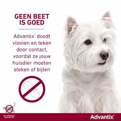 Advantix 100 6 Pipetten -Hond winkel Advantix geenbeetisgoed 2