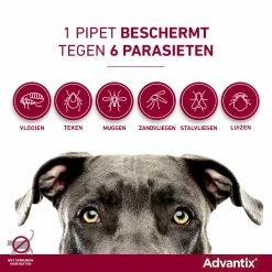 Advantix 100 6 Pipetten -Hond winkel Advantix pipettegen6parasieten 2