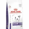 Royal Canin Veterinary Diet Royal Canin Hondenvoer Dental Small 1,5 Kg -Hond winkel Dog Dental Small Dogs 1