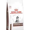 Royal Canin Veterinary Diet Royal Canin Gastro-Intestinal Puppy 2,5 Kg -Hond winkel Hond Gastrointestinal Puppy