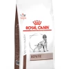 Royal Canin Veterinary Diet Royal Canin Hondenvoer Hepatic 1,5 Kg 2 Royal Canin Veterinary Diet Royal Canin Hondenvoer Hepatic 1,5 Kg -Hond winkel Hond Hepatic