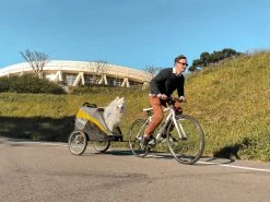 Innopet Hondenfietskar/-buggy Set Hercules Grey/Yellow -Hond winkel IPS 060 SET 1 scaled 1